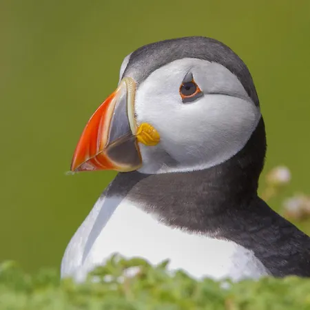 Σπίτι διακοπών Beachside Avenue No 15 By Trident Homes *