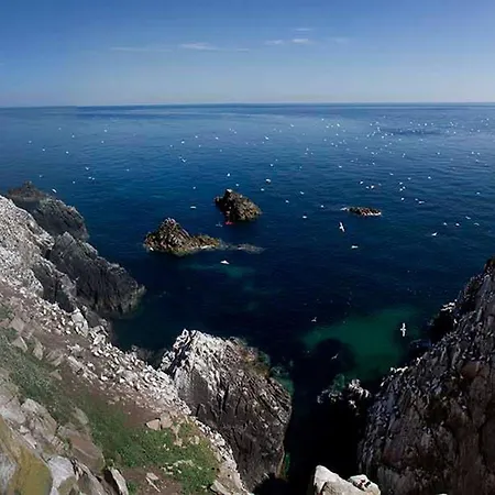 Beachside Avenue No 15 By Trident Homes *