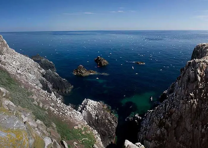 Beachside Avenue No 15 By Trident Homes *